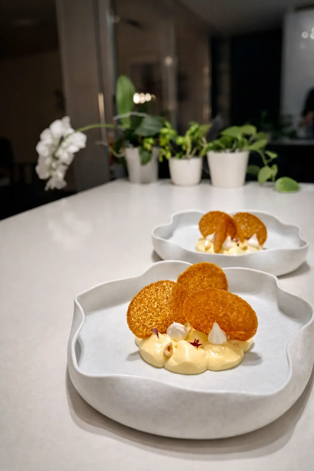 Ristocasa — Galleria 37